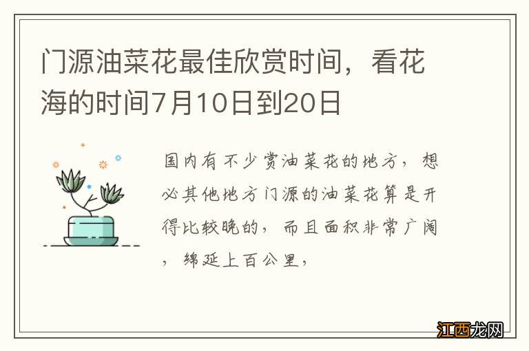 门源油菜花最佳欣赏时间，看花海的时间7月10日到20日