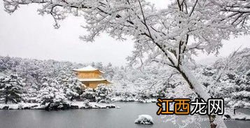 松柏雪景拍照技巧 拍雪景的妙招