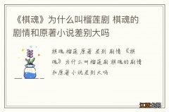 《棋魂》为什么叫榴莲剧 棋魂的剧情和原著小说差别大吗