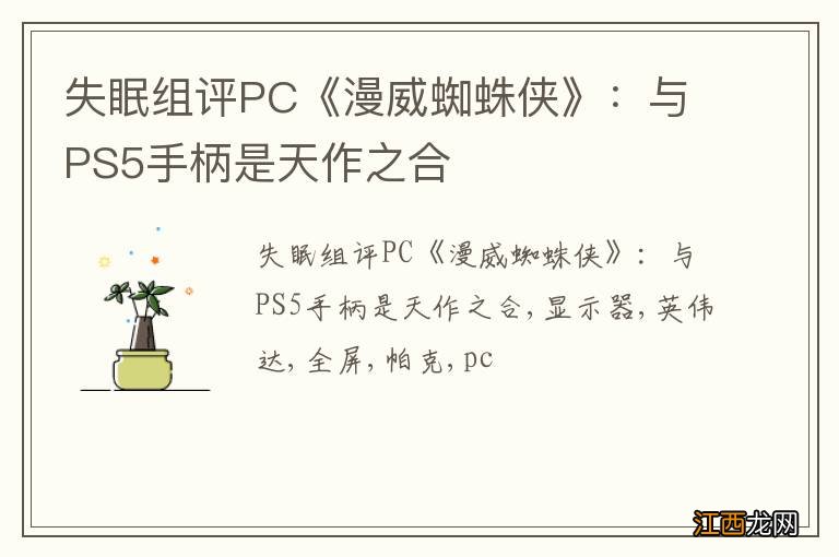 失眠组评PC《漫威蜘蛛侠》：与PS5手柄是天作之合