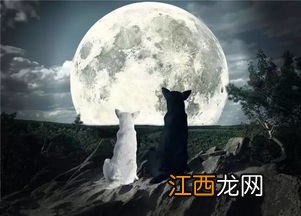 拍摄月亮照片技巧 拍摄月亮照片技巧有哪些