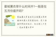 霍城薰衣草什么时间开?一般是在五月份盛开吗？