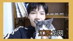 个人在家vlog拍摄技巧 分享一些vlog拍摄的小技巧