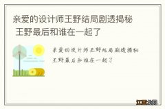 亲爱的设计师王野结局剧透揭秘 王野最后和谁在一起了