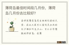 薄荷岛最佳时间段几月份，薄荷岛几月份去比较好？