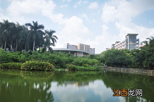 2022高考职业技术学院哪些专业好就业