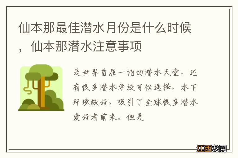 仙本那最佳潜水月份是什么时候，仙本那潜水注意事项