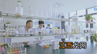 食品生物技术专业的主要课程和就业方向