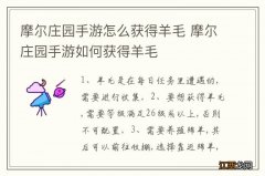 摩尔庄园手游怎么获得羊毛 摩尔庄园手游如何获得羊毛