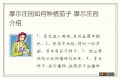 摩尔庄园如何种植茄子 摩尔庄园介绍