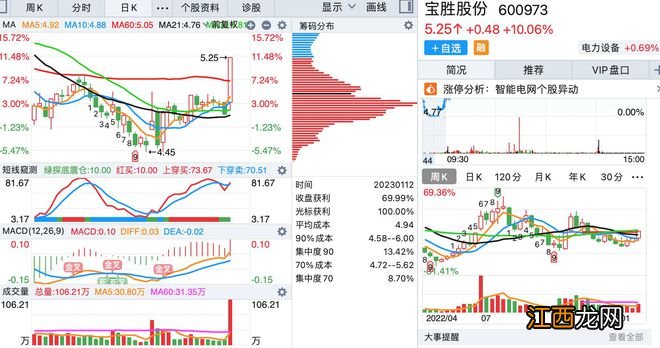 1月12日，底部首板涨停的个股名单