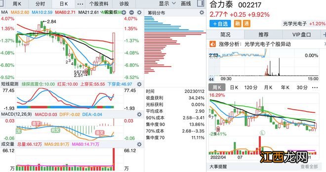 1月12日，底部首板涨停的个股名单