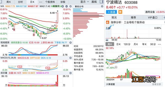 1月12日，底部首板涨停的个股名单