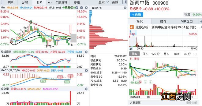 1月12日，底部首板涨停的个股名单