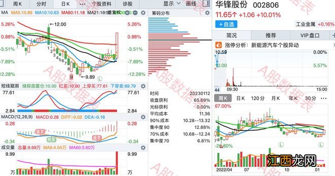 1月12日，底部首板涨停的个股名单