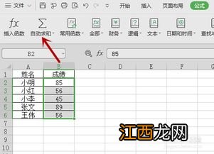 wps表格竖向求和