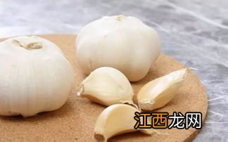 喂小鹅用大蒜可以吗