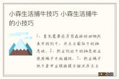 小森生活捕牛技巧 小森生活捕牛的小技巧