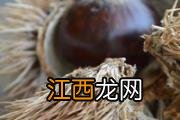 煮板栗怎么煮容易剥皮 水煮板栗要多久才能煮熟