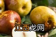 冬枣吃多了有什么副作用 冬枣一天吃多少最好