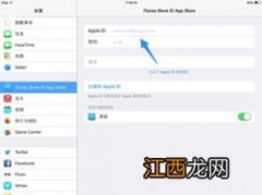 ipad怎么换id账号