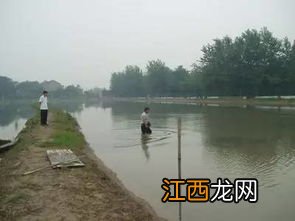 雨天鱼塘要不要开增氧