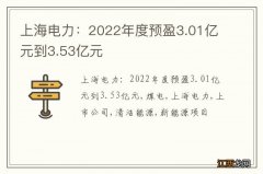 上海电力：2022年度预盈3.01亿元到3.53亿元