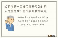 如期在第一目标位展开反弹！明天是涨是跌？直接表明我的观点！