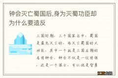 钟会灭亡蜀国后,身为灭蜀功臣却为什么要造反