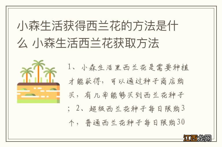 小森生活获得西兰花的方法是什么 小森生活西兰花获取方法