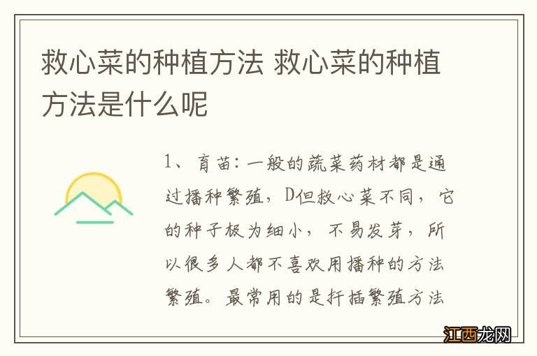救心菜的种植方法 救心菜的种植方法是什么呢