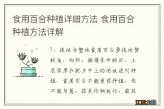 食用百合种植详细方法 食用百合种植方法详解