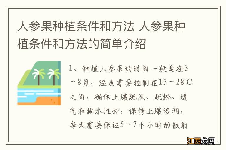 人参果种植条件和方法 人参果种植条件和方法的简单介绍