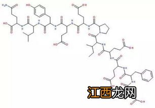 水蛭素作用