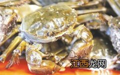 2888型大闸蟹什么意思