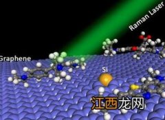 木材科学与工程专业就业方向与就业前景怎么样