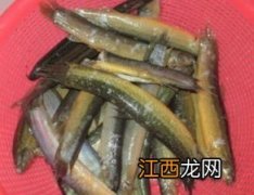 泥鳅一般煮多久才能熟