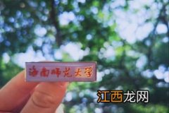 信息与计算科学专业的介绍 有哪些培养目标