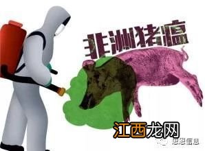 中国有非洲猪瘟病毒吗