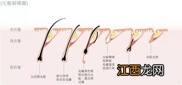 杀鹅脱毛水温是多少度