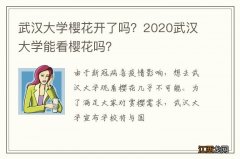 武汉大学樱花开了吗？2020武汉大学能看樱花吗？