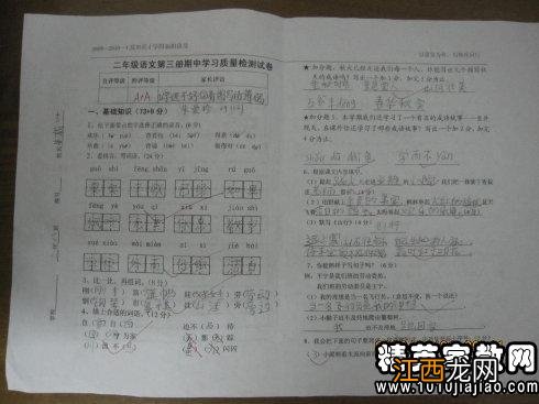 家长签字评语大全20字 简短的家长评语推荐