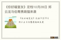 《你好喵室友》定档10月28日 郑云龙马伯骞携萌猫来袭