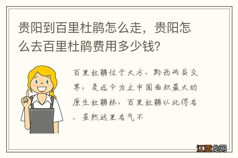 贵阳到百里杜鹃怎么走,贵阳怎么去百里杜鹃费用多少钱?