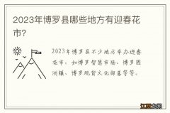 2023年博罗县哪些地方有迎春花市？