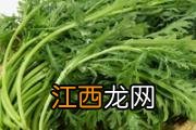 炸杏鲍菇用面粉还是淀粉 炸杏鲍菇要不要焯水