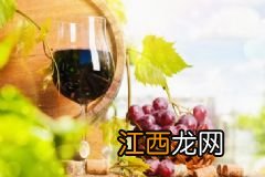 什么葡萄酿酒最好喝？喝葡萄酒的禁忌有哪些？