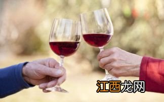 什么葡萄酿酒最好喝？喝葡萄酒的禁忌有哪些？