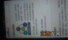 wap是什么意思中文