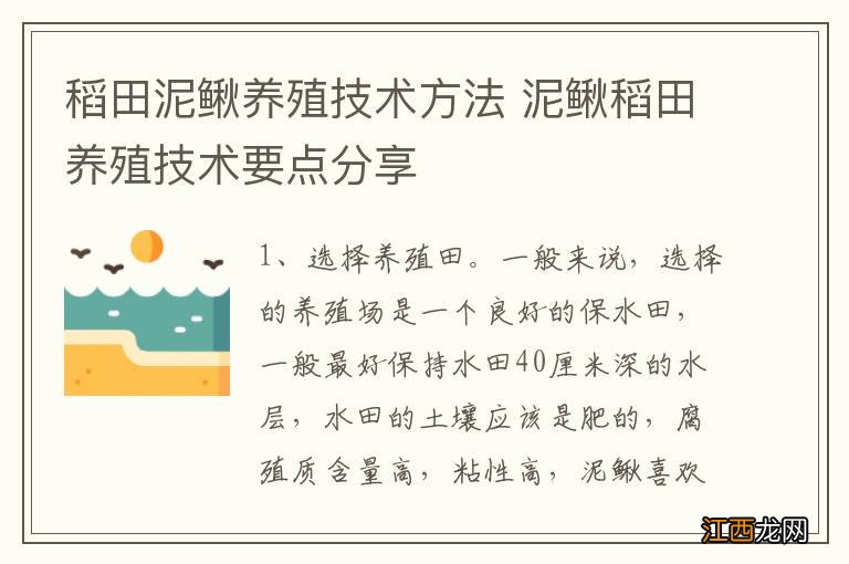 稻田泥鳅养殖技术方法 泥鳅稻田养殖技术要点分享